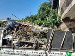 Best Residential Junk Removal  in Laredo, TX